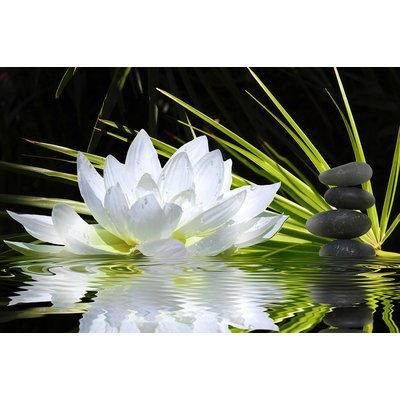 Tableau fleur de lotus et galets HEXOA
