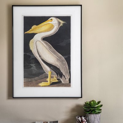60x90cm Pellicano Framed Art SO'HOME