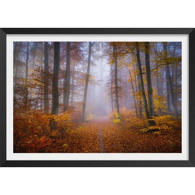 Affiche Chemin d'automne HEXOA