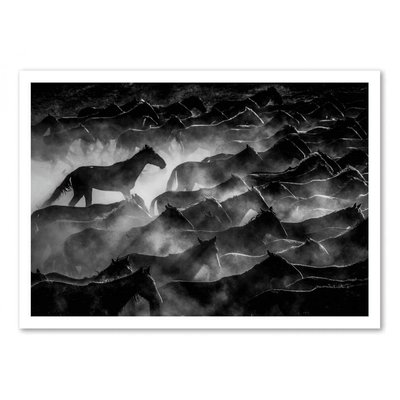 Affiche d’art et cadre noir 30 x 40 cm - Horses Ummu - Nisan Kandilcioglu WALL EDITIONS
