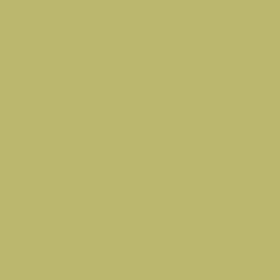 Active Emulsion Paint Lime Cloud SANDERSON