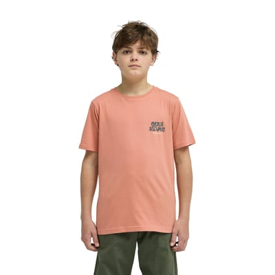 T-Shirt à manches courtes FRUITS TIDE QUIKSILVER