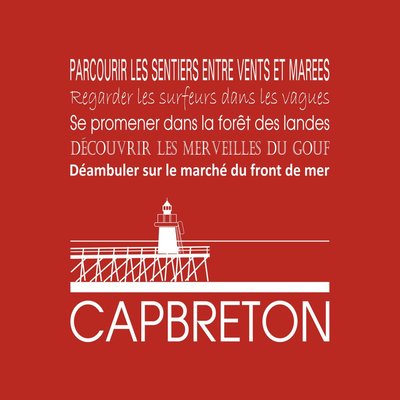 Tableau Sur Toile Capbreton ILLUSTRATION CEANOTHE
