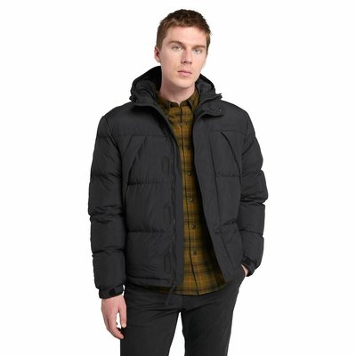 Embroidered Logo Padded Jacket TIMBERLAND