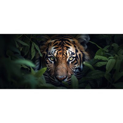 Tableau Sur Verre Synthétique Tigre Caché ANIMAUX CEANOTHE