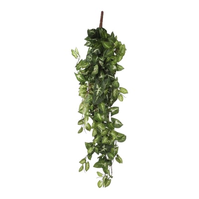 Plante artificielle FITTONIA MICA DECORATIONS