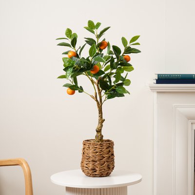 76cm Artificial Orange Tree in Woven Basket SO'HOME