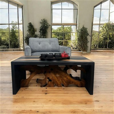 Table de salon racine noire et naturelle ARIZONA PIER IMPORT