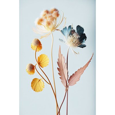 Tableau mural fleur colorée CEANOTHE