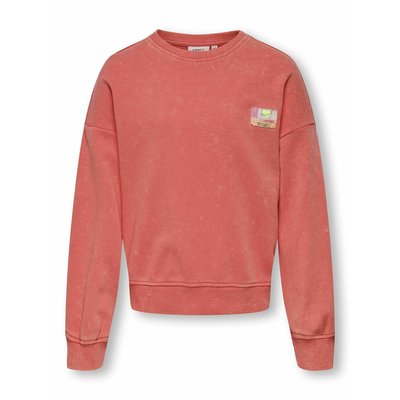 Sudadera de cuello redondo con insignia KIDS ONLY
