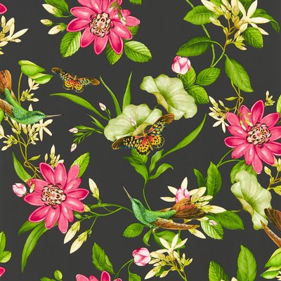 Pink Lotus Wallpaper WEDGEWOOD & CLARKE & CLARKE