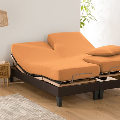 Fixleintuch Scenario für verstellbares Doppelbett, Baumwolle uni LA REDOUTE INTERIEURS