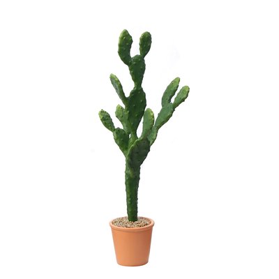 Cactus artificiel en pot H78 SIA DECO
