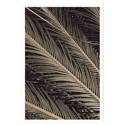 Poster palm island HEXOA