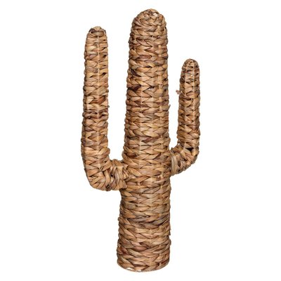 Cactus HACIENDA ATMOSPHERA