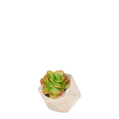 Succulente en pot artificielle H14 SIA DECO