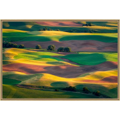 Tirage Sur Aluminium Colorful Palouse 120x80 Cm TIRAGE D'ART CEANOTHE