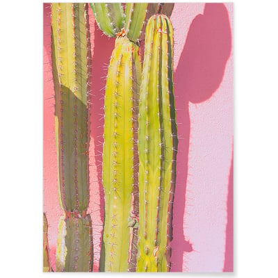 Poster nature Cactus 3 L'AFFICHERIE