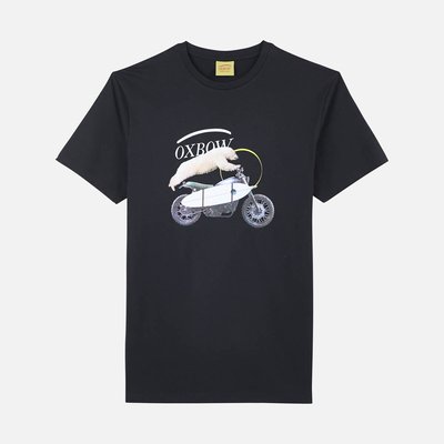 Tee-shirt manches courtes graphique TRAIL OXBOW