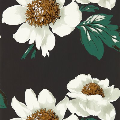 Paeonia Wallpaper HARLEQUIN