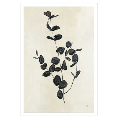 Affiche fleurs Black magic HEXOA
