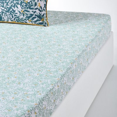 Drap housse percale de coton, Foliage LA REDOUTE INTERIEURS