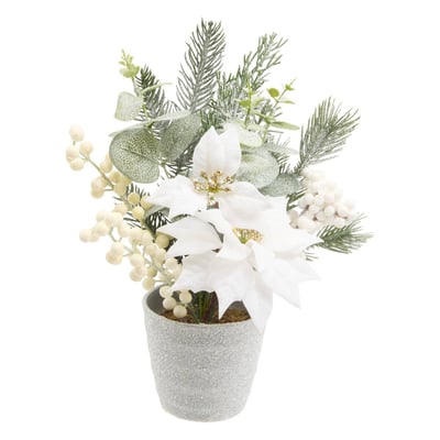 COMPO POINSETTIA BLANC H29 ATMOSPHERA