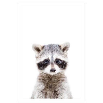 Affiche enfant bébé raton laveur HEXOA
