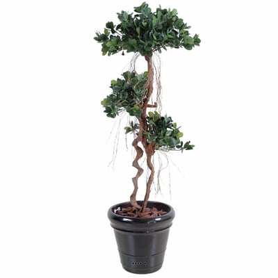 Ficus Panda sur tronc deforme H 140 cm ARTIFICIELLES