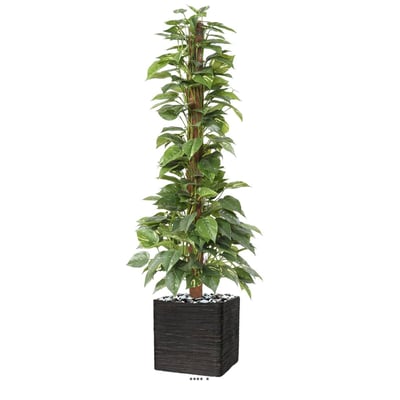 Pothos artificiel sur tuteur en pot ARTIFICIELLES