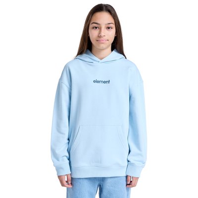 Sweat à capuche SIMPLE LOGO ELEMENT