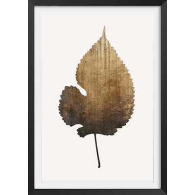 Poster sauvage dorée HEXOA