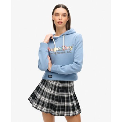 Sweat à capuche à logo arc-en-ciel SUPERDRY