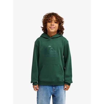 Sweat à capuche, molleton gratté QUIKSILVER