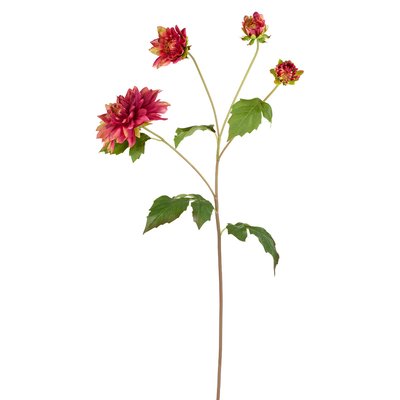 Tige de dahlia artificielle H80 SIA DECO