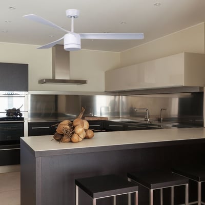 Ventilateur  plafond  PEREGRINE BOUTICA-DESIGN
