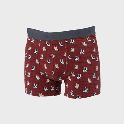Boxer en coton biologique FANTAISIE BILLYBELT