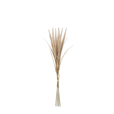 Bouquet de pampa 7 tiges artificielle H50 SIA DECO