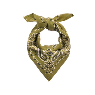 Petit foulard à motifs PAISLEY WILD