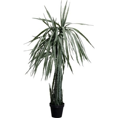 Plante décorative Dracaena 155cm KARE DESIGN