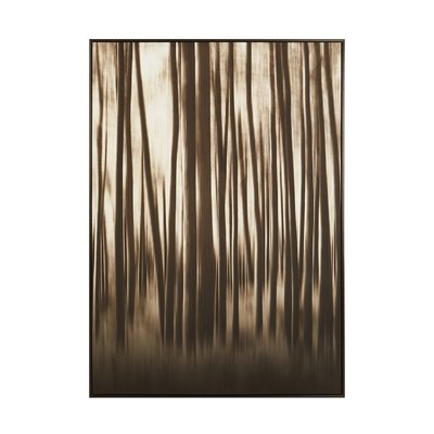 Black and Natural Classic Framed Wall Art SO'HOME