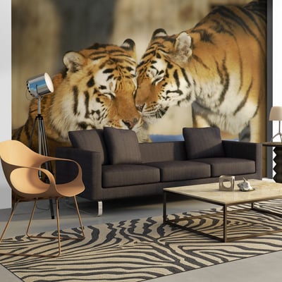 Papier peint intissé panoramique Animaux Tigres : l'amour inconditionnel EDEN