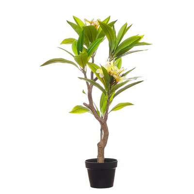 Planta artificial "Frangipan" 120cm, BORGHESI BORGHESI