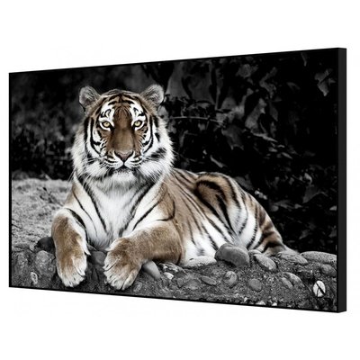 Tableau encadré à la finition mate tigre en observation CEANOTHE