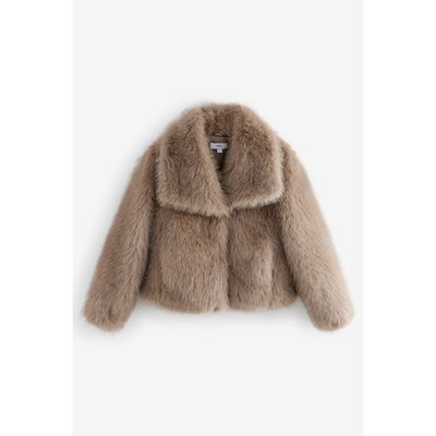 Veste courte manches longues NEXT
