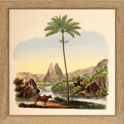 Petit tableau paysage exotique  Palm THE DYBDAHL CO