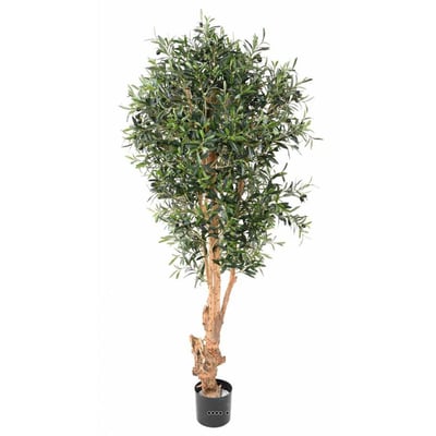 Olivier artificiel en pot tronc noueux 170cm ARTIFICIELLES