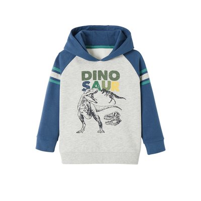 Sweat à capuche motif graphique manches raglan VERTBAUDET