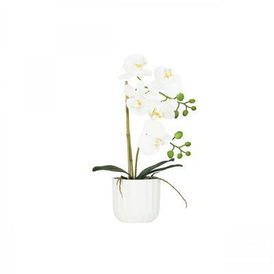 Orchidée artificielle toucher naturel 40cm LIGNE DECO