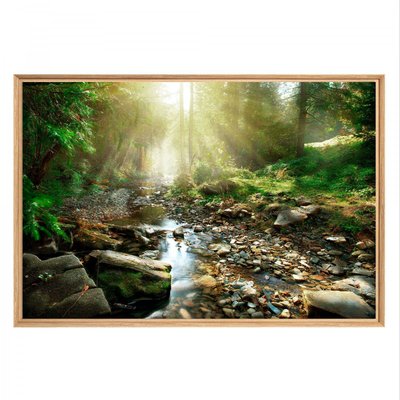 Tableau mural mat encadré fantasy CEANOTHE